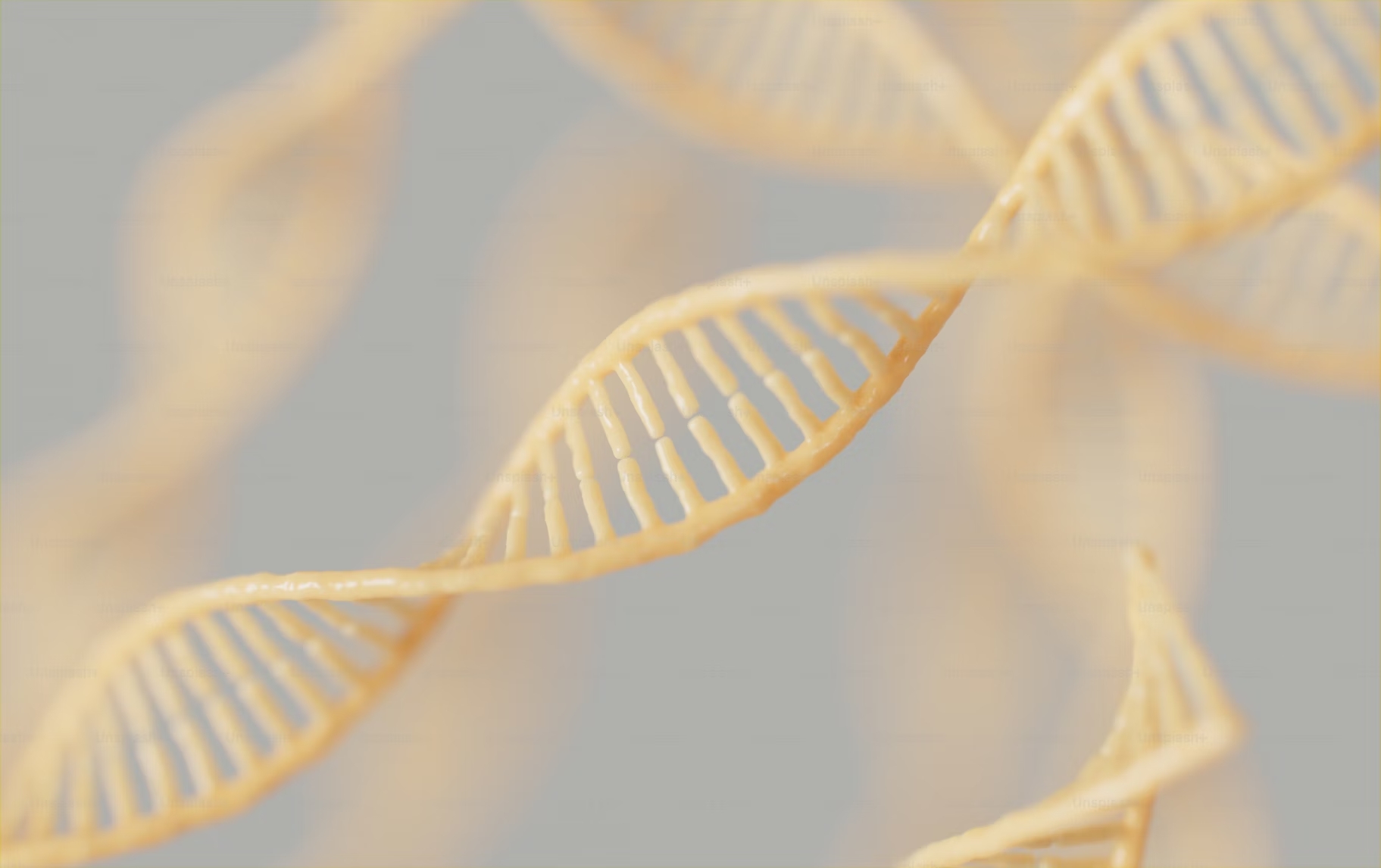 ژنهای مرتبط با طول عمر: نقش ژنتیک در پیری و سلامت سلولی